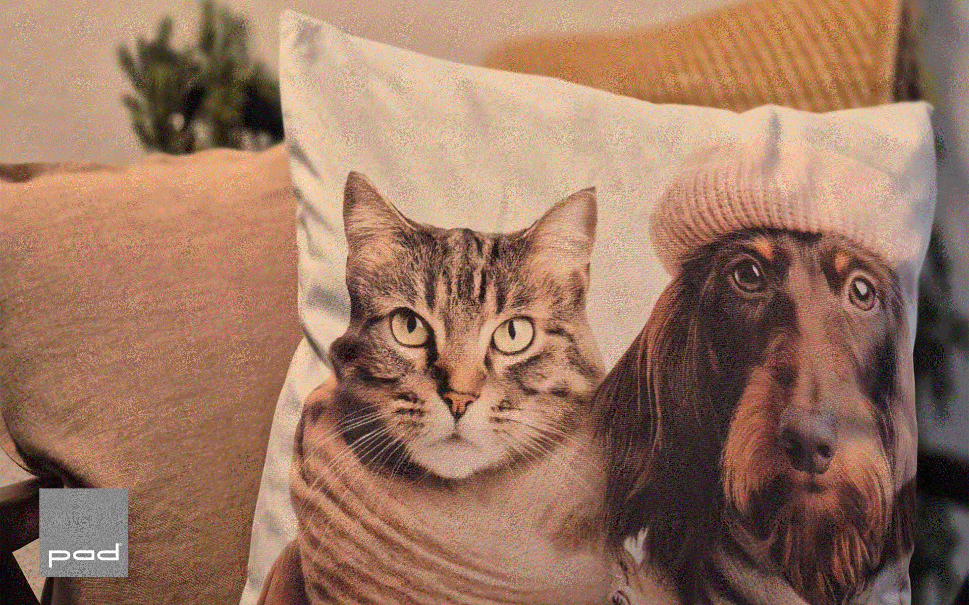 Ein Kissen mit einem Hund und einer Katze zeigt stilvolles Wohndesign von Ottensmeyer für gemütliche Räume.